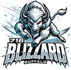 Buffalo Blizzard