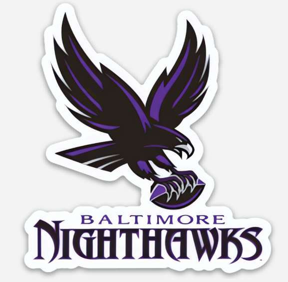 WFA Die-Cut Team Sticker - Baltimore Nighthawks